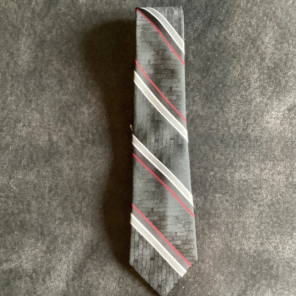 VTG BOTANY 500 Men's Necktie Black Red Stripe